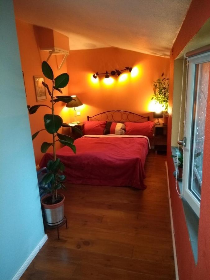 Maison Chopin Ґрама Екстер'єр фото